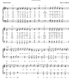 La Biblia revela a Cristo