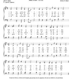 Señor yo he prometido