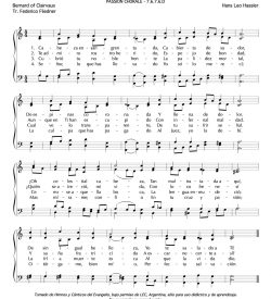 Cabeza ensangrentada