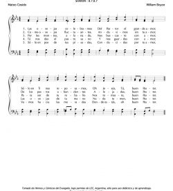 Las ovejas celebramos