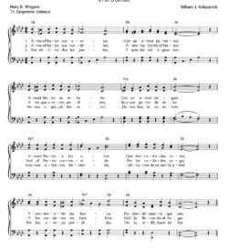 Ama el Pastor sus ovejas